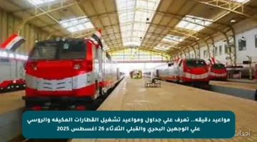 مواعيد دقيقة.. تعرف على جداول ومواعيد تشغيل القطارات المكيفة والروسي على الوجهين البحري والقبلي الثلاثاء 26 أغسطس 2025